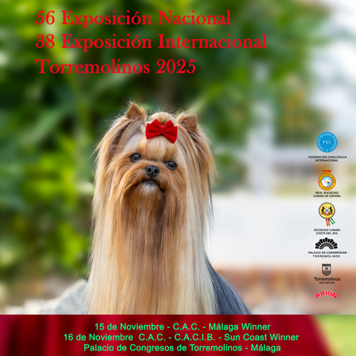La Feria Internacional del Perro llega a Torremolinos los próximos 15 y 16 de noviembre